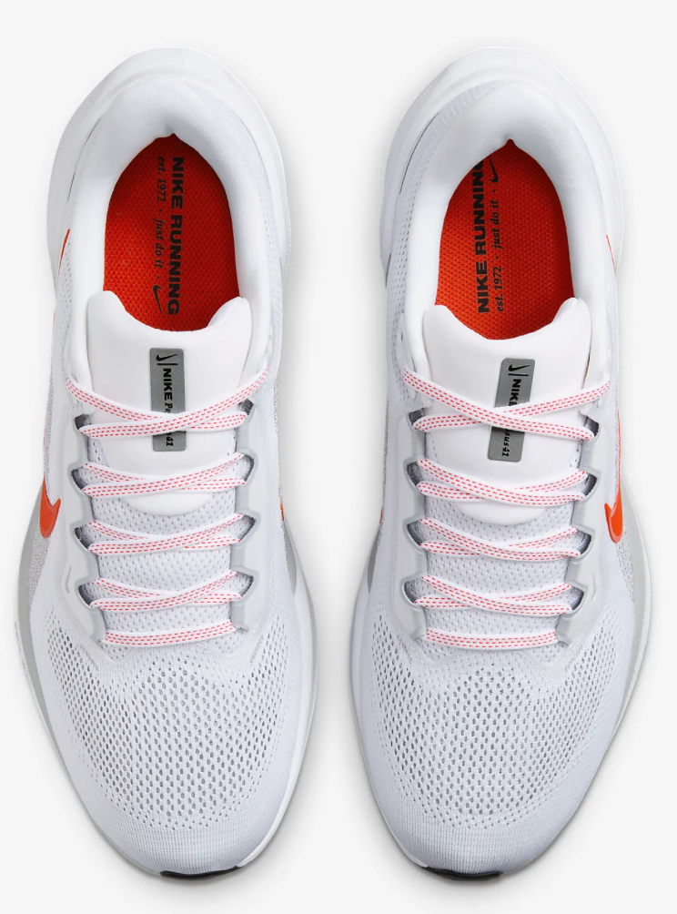 Men's Nike Air Zoom Pegasus 41