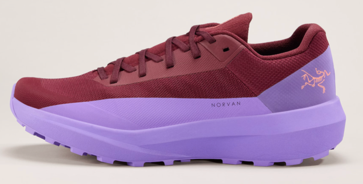 Women's Arc'teryx Norvan LD 4