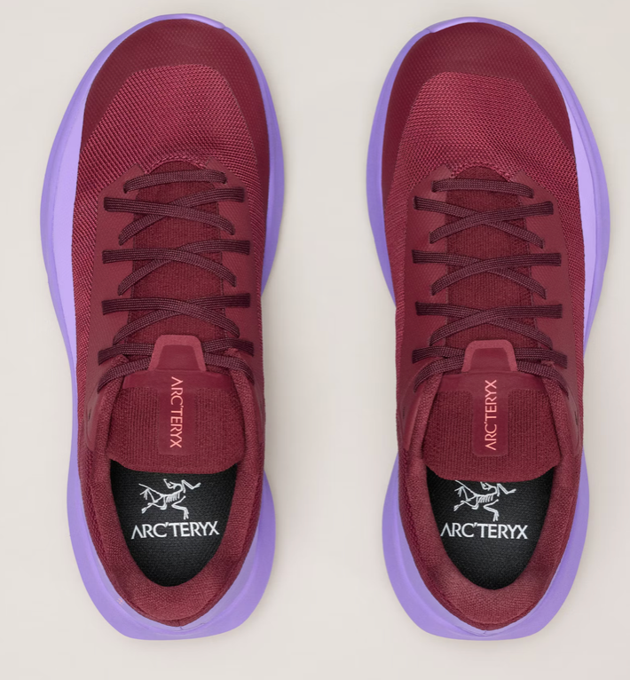 Women's Arc'teryx Norvan LD 4