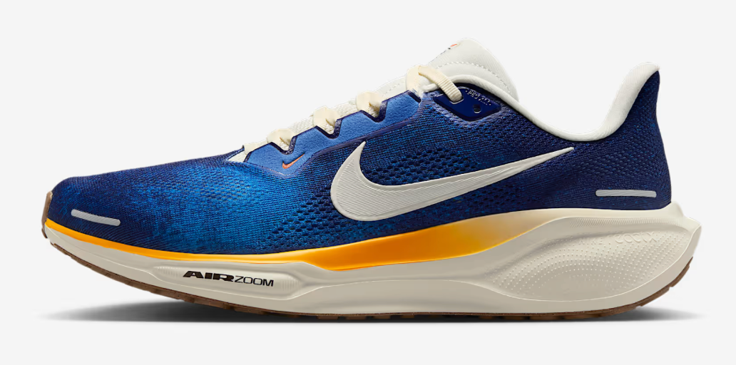 Men's Nike Air Zoom Pegasus 41