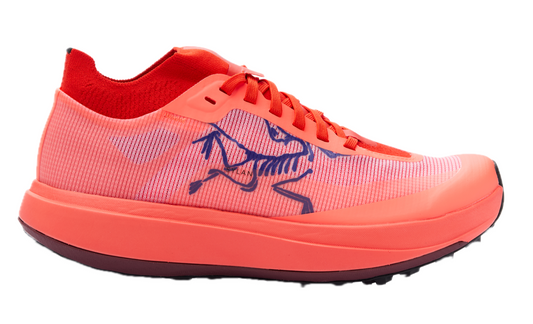 Women's Arc'Terryx Sylan Pro