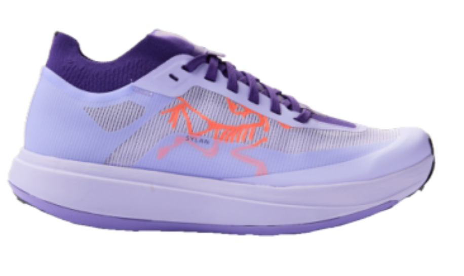 Women's Arc'Terryx Sylan Pro