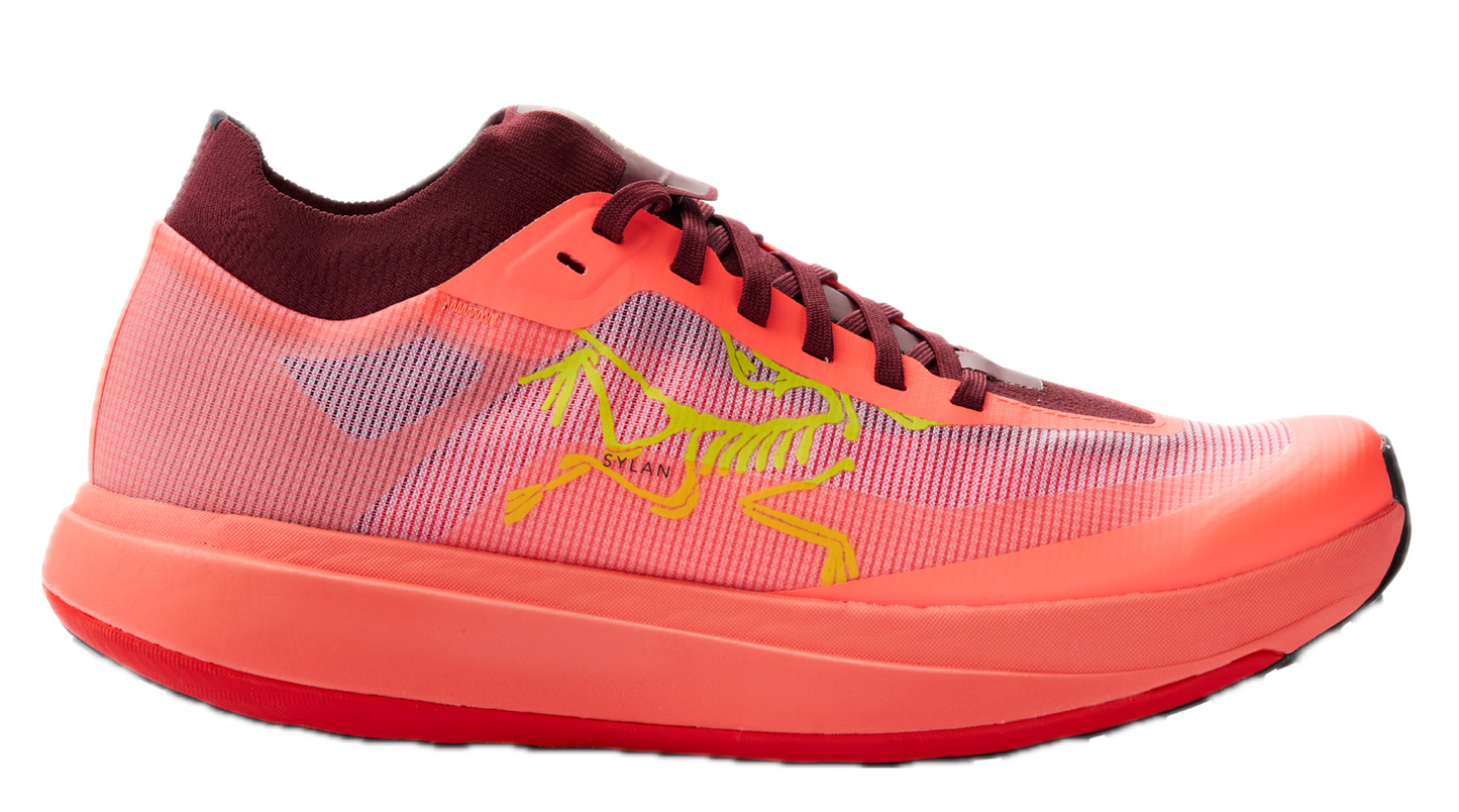 Men's Arc'teryx Sylan Pro