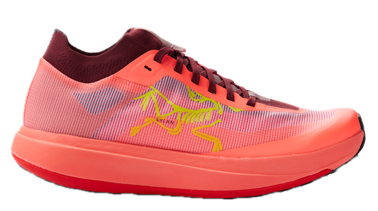Men's Arc'teryx Sylan Pro